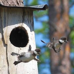 Meet your Posher, Sandra